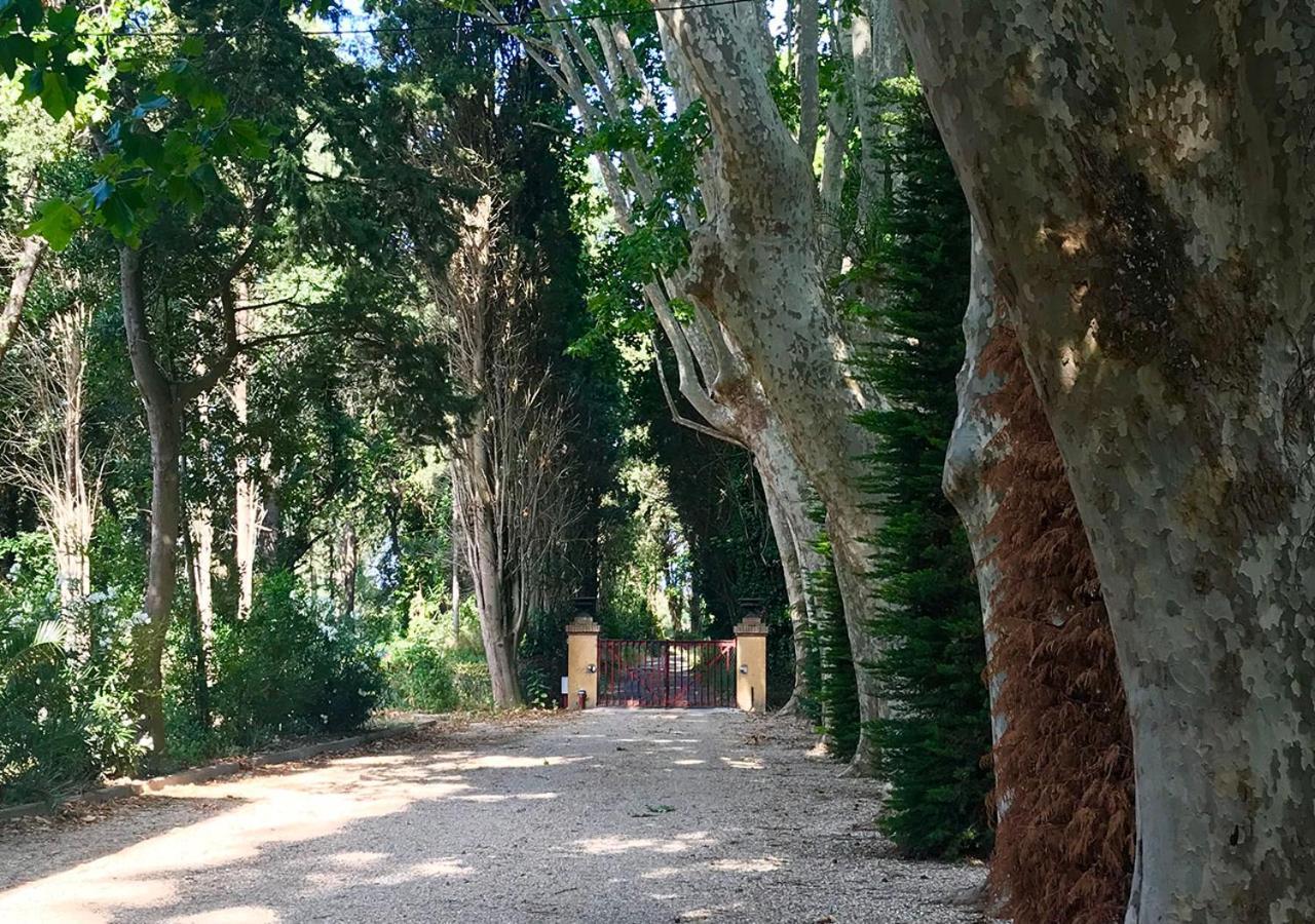 Can Codol De Fluvia - Casita Torroella de Fluviá Dış mekan fotoğraf