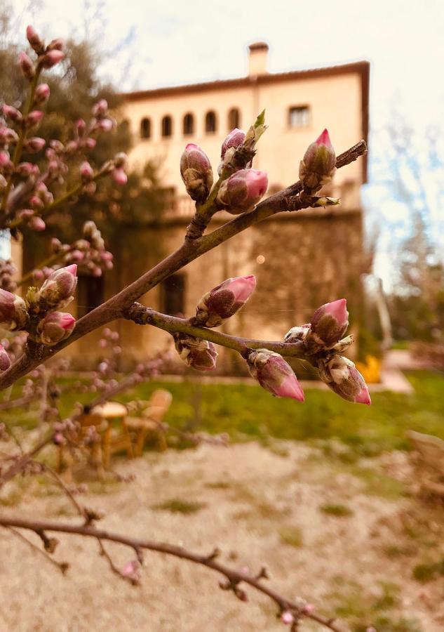 Can Codol De Fluvia - Casita Torroella de Fluviá Dış mekan fotoğraf