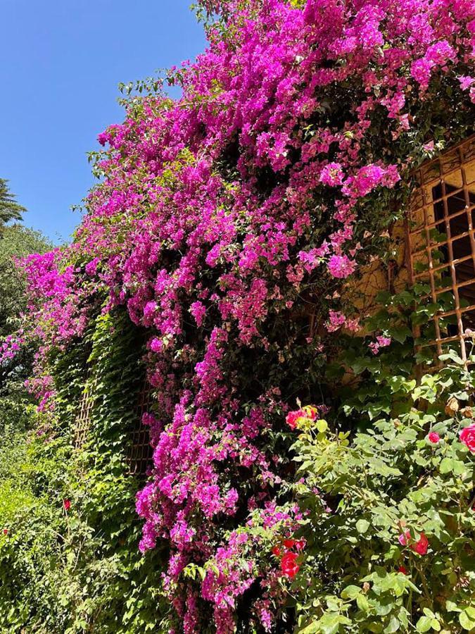 Can Codol De Fluvia - Casita Torroella de Fluviá Dış mekan fotoğraf