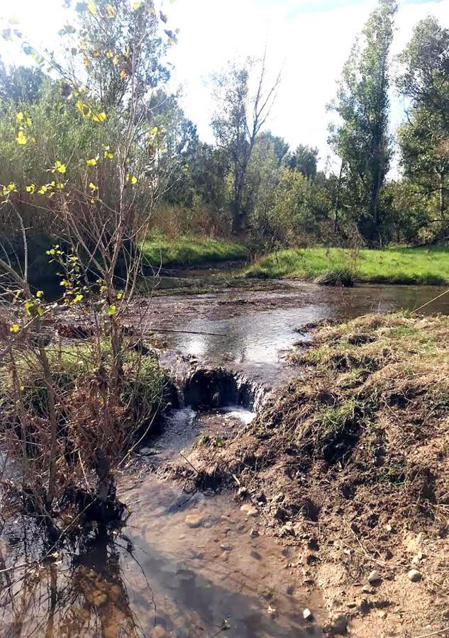 Can Codol De Fluvia - Casita Torroella de Fluviá Dış mekan fotoğraf